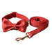 Bow set